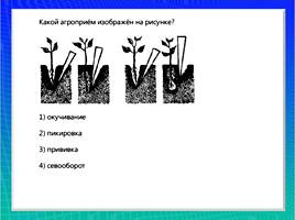 Организмы царства грибов и лишайников, слайд 6