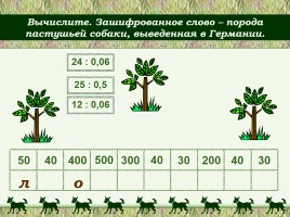 Математическая игра «Порода пастушьей собаки», слайд 5