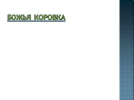 Человек - творец и носитель культуры, слайд 4