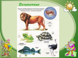 Разнообразие мира животных, слайд 4