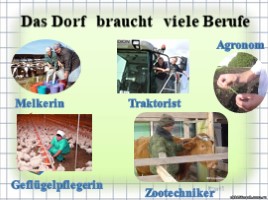 Открытый урок по немецкому языку 7 класс «Жизнь в деревне», слайд 7