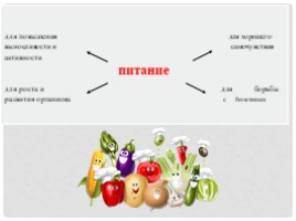 Окружающий мир 4 класс «Пищеварительная система человека», слайд 3