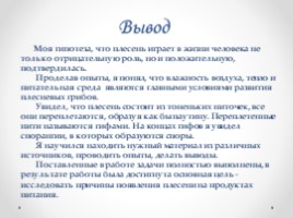 Проект на тему плесень вред или польза