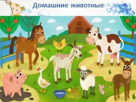 Домашние животные (иллюстрации), слайд 1