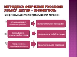Обучение русскому языку детей-билингов в условиях полиэтнических классов, слайд 12