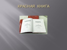Красная книга Туркменистана, слайд 2