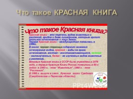 Красная книга Туркменистана, слайд 4