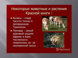 Красная книга Туркменистана, слайд 5