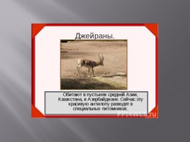 Красная книга Туркменистана, слайд 6