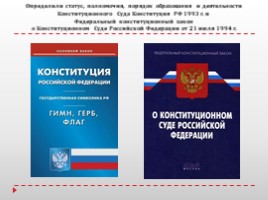 Конституционное судопроизводство: общее и различия в конституционном производстве и других видах судебного производства. (РФ), слайд 3