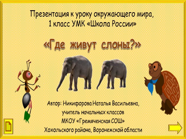 «Где живут слоны?»
