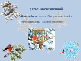 Проект "Зимующие птицы" для детей, слайд 11