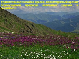 Северная Осетия - Алания, слайд 17