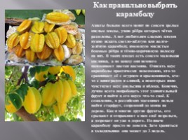 Изучение ассортимента экзотических плодов, слайд 40