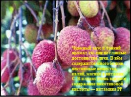 Изучение ассортимента экзотических плодов, слайд 43