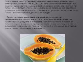 Изучение ассортимента экзотических плодов, слайд 67