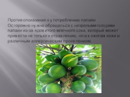 Изучение ассортимента экзотических плодов, слайд 68