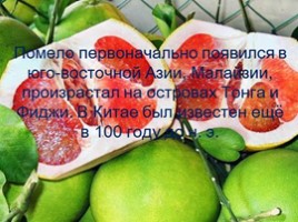 Изучение ассортимента экзотических плодов, слайд 70