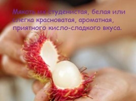 Изучение ассортимента экзотических плодов, слайд 75