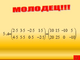 Определитель и его свойства" для 11 класса, слайд 7