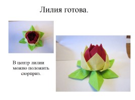 Мастер-класс «Изготовление лилии», слайд 21
