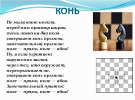 Знакомство с шахматными фигурами, слайд 7