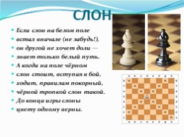 Знакомство с шахматными фигурами, слайд 8