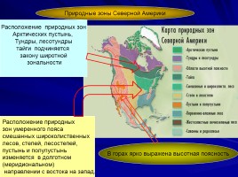 Природные зоны Северной Америки, слайд 6