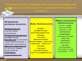Организация внеурочной деятельности учителя начальных классов, слайд 2