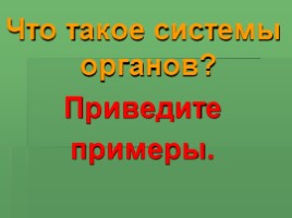 Как мы воспринимаем окружающий мир для 3 класса, слайд 4