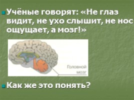 Как мы воспринимаем окружающий мир для 3 класса, слайд 43