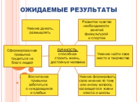 Эффективное взаимодействие ДОУ и МОУ, слайд 8