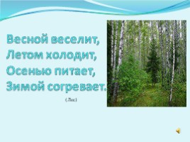 Лес - кладовая природы, слайд 2