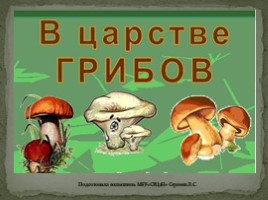 В царстве грибов" для дошкольников, слайд 1