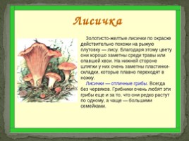 В царстве грибов" для дошкольников, слайд 5