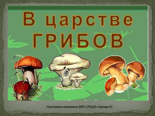 В царстве грибов" для дошкольников