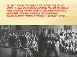 Ленинградский зоопарк во время войны, слайд 4