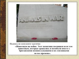 Животные на войне, слайд 24