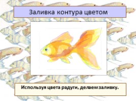 Красивые рыбы, слайд 30