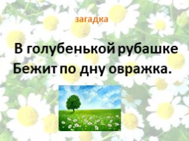 Собери букет ромашек для 1-4 класса, слайд 4