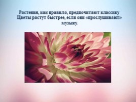 Интересные факты из музыки, слайд 5