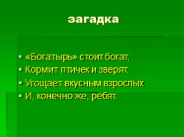 Лес наше богатство, слайд 3