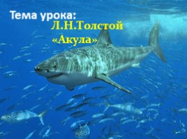Л.Н.Толстой «Акула», слайд 4