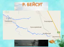 Виртуальная экскурсия «Разнообразие рек Краснодарского края», слайд 10