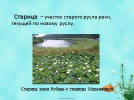 Виртуальная экскурсия «Разнообразие рек Краснодарского края», слайд 15