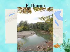 Виртуальная экскурсия «Разнообразие рек Краснодарского края», слайд 18