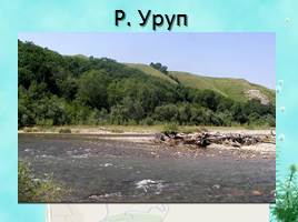Виртуальная экскурсия «Разнообразие рек Краснодарского края», слайд 19