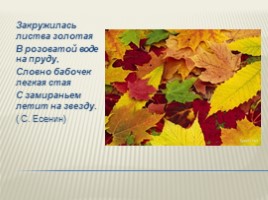 Для 6 класса "Русский язык - один из развитых языков мира", слайд 7