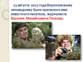 Животный мир Воронежского заповедника, слайд 17