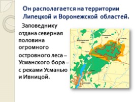 Животный мир Воронежского заповедника, слайд 5